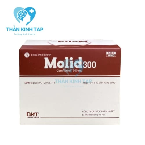 Molid 300 - Thuốc giảm nguy cơ xơ vữa động mạch